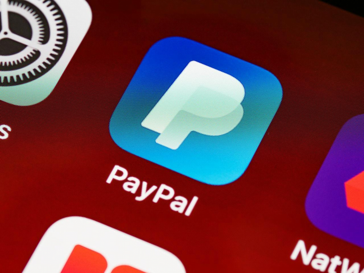 PayPal Pro – The 5 Best e-commerce Payment Gateways for WordPress – HostNamaste