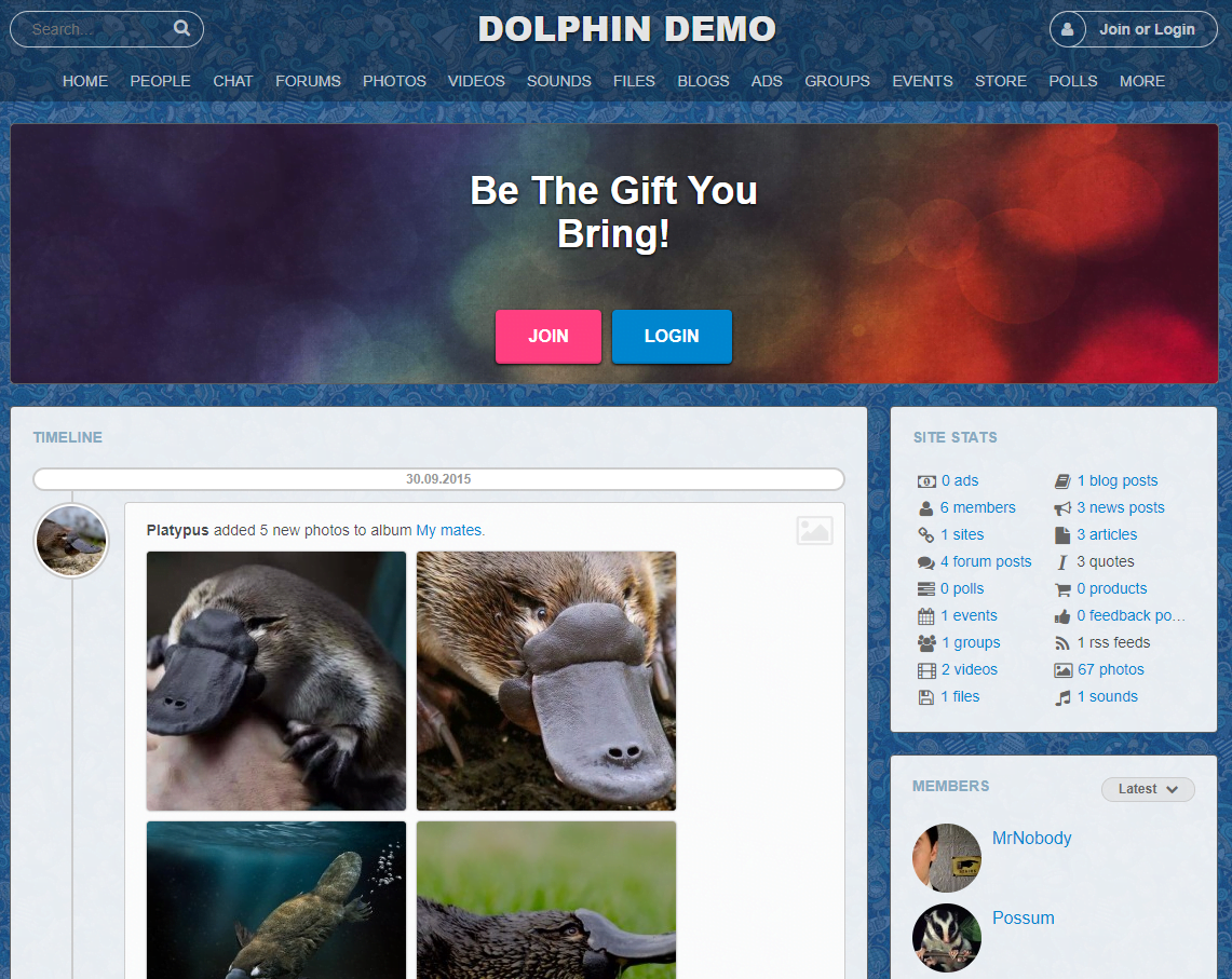 Dolphin – The Best Social Network Application Hosting – HostNamaste