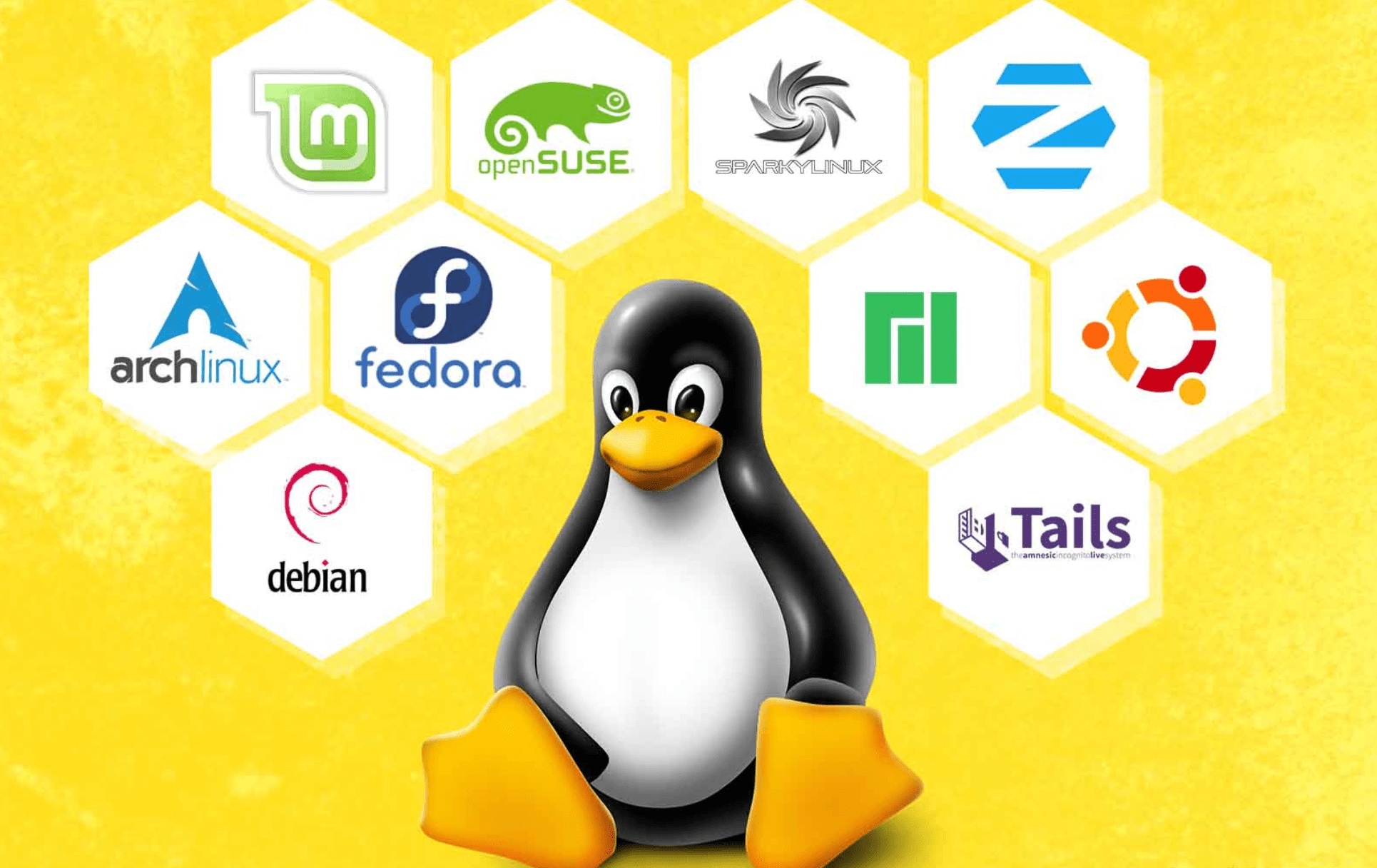 Linux Servers are more Stable - 9 Reasons Why Business Owners Prefer Linux Dedicated Servers – HostNamaste