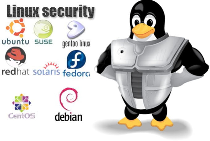 Top-notch and impenetrable Security - 9 Reasons Why Business Owners Prefer Linux Dedicated Servers – HostNamaste