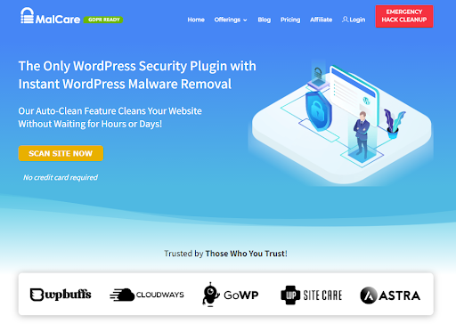 How to Scan a WordPress Site for Malicious Code and How to Clean it? 6 WordPress Security Scanner – How to Scan a WordPress Site for Malicious Code and How to Clean it? – HostNamaste