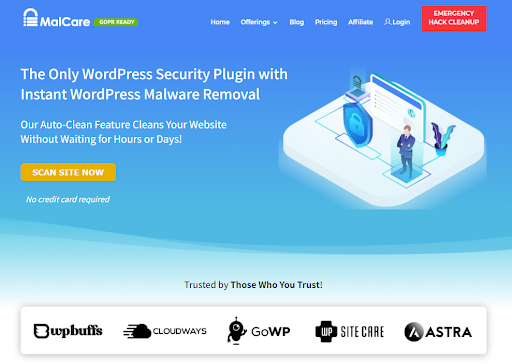 WordPress Security Scanner – How to Scan a WordPress Site for Malicious Code and How to Clean it? – HostNamaste