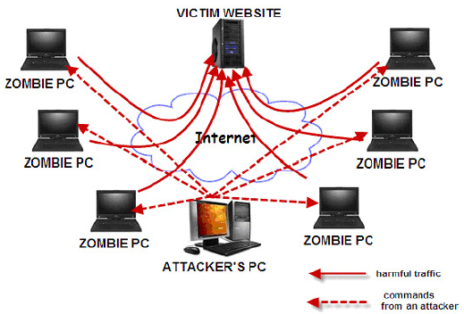 How DDos Protection from a Web Host Can Save Your Business from Attack - HostNamaste