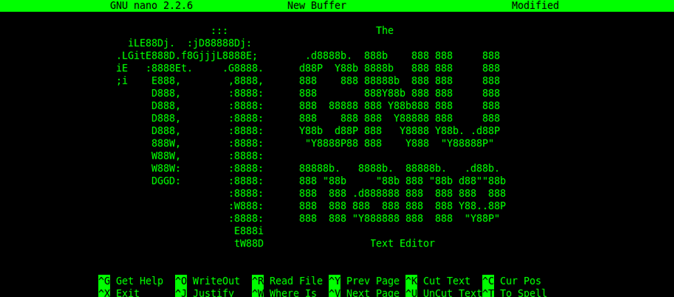 Top 10 Best Linux Text Editors in 2025 6 Nano Editor – Top 10 Best Linux Text Editors – HostNamaste