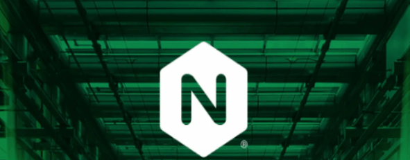 Nginx - Best Web Servers for PHP Development – HostNamaste.com