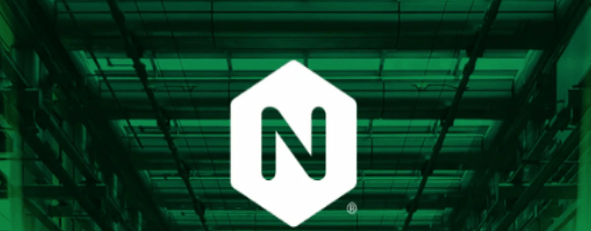 Nginx - Best Web Servers for PHP Development – HostNamaste.com Nginx - Best Web Servers for PHP Development – HostNamaste.com